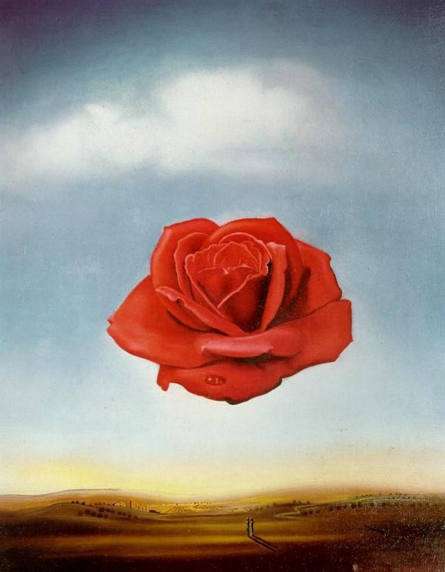 Salvador Dali meditative rose